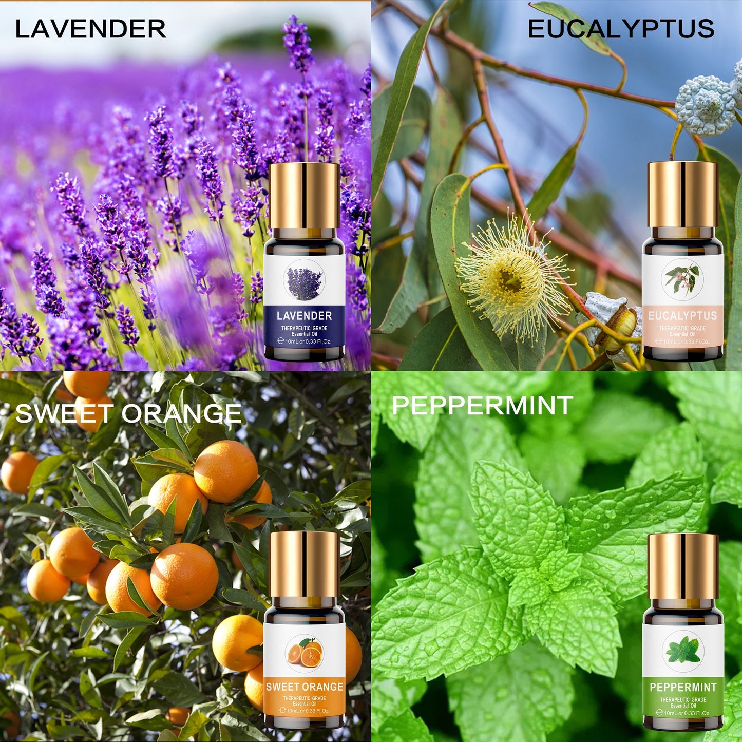 Essential Oil Collection with Wooden Box