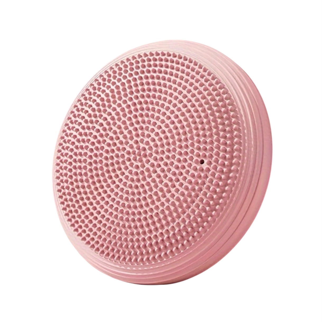 Balance & Posture Disc