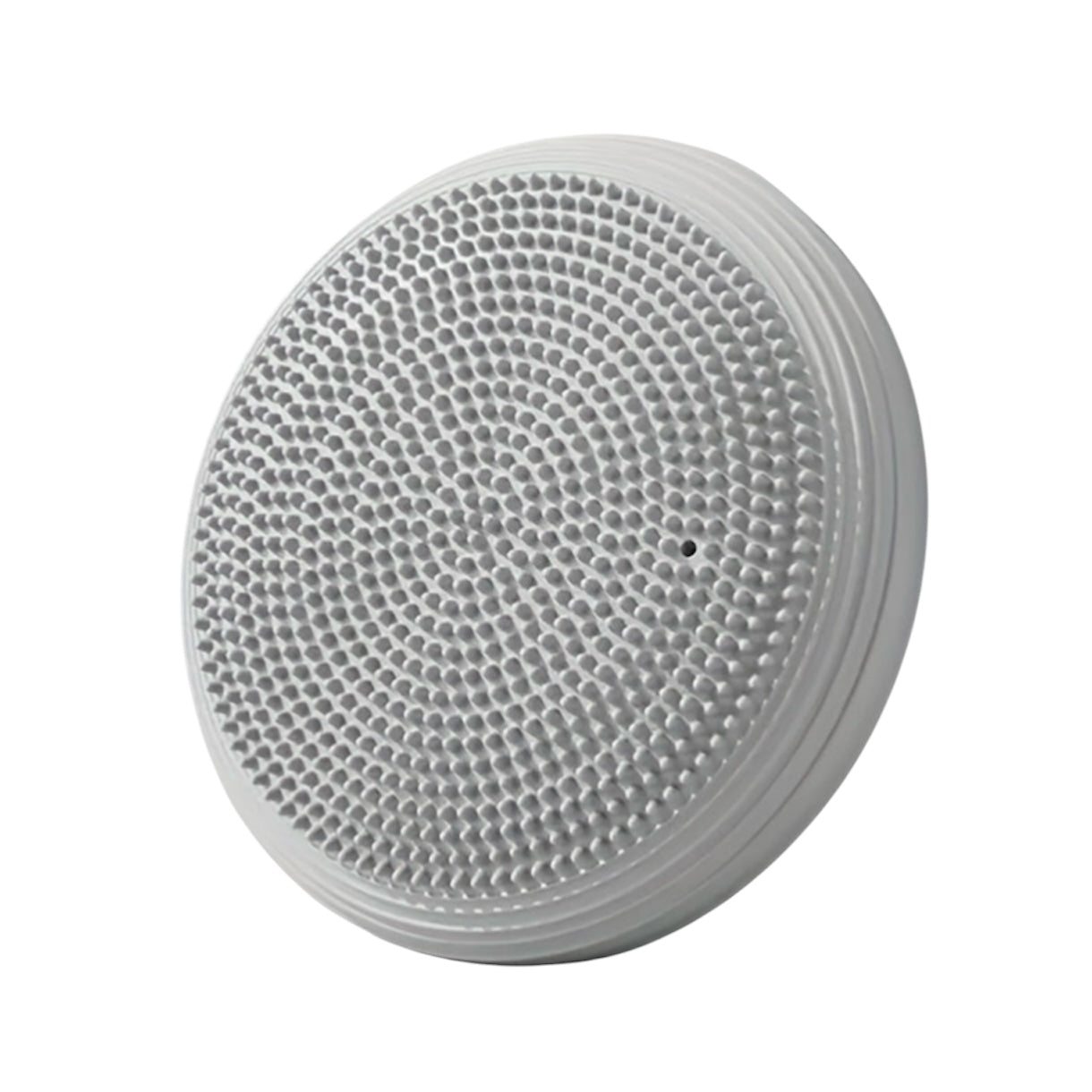 Balance & Posture Disc