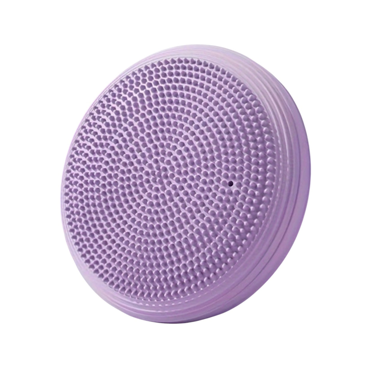 Balance & Posture Disc