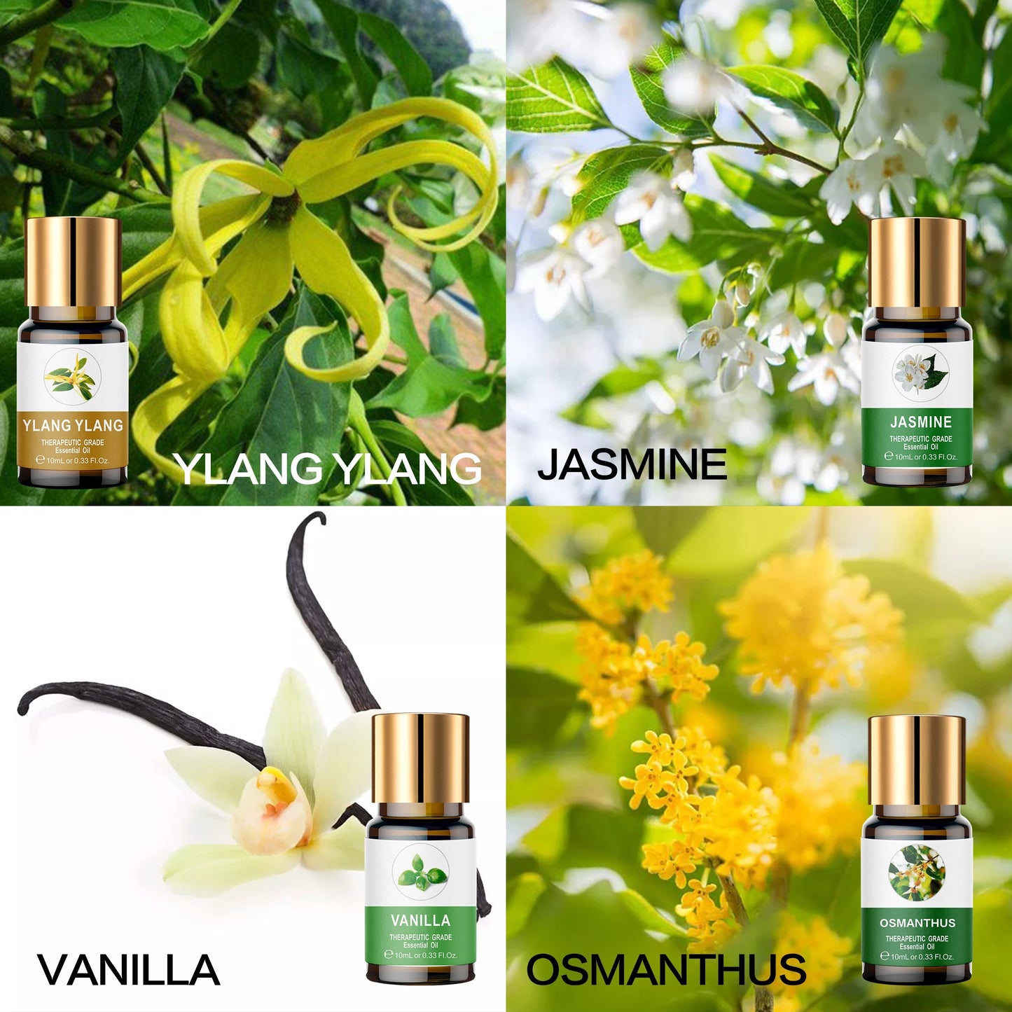 Essential Oil Collection with Wooden Box