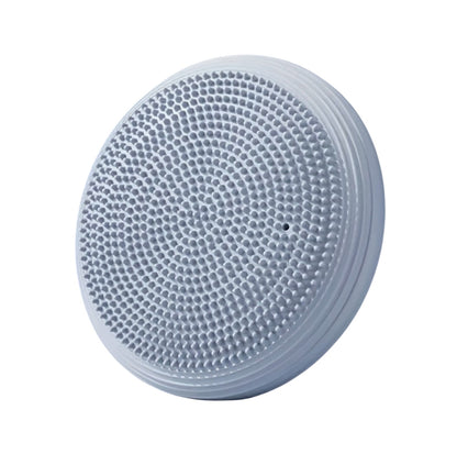 Balance & Posture Disc
